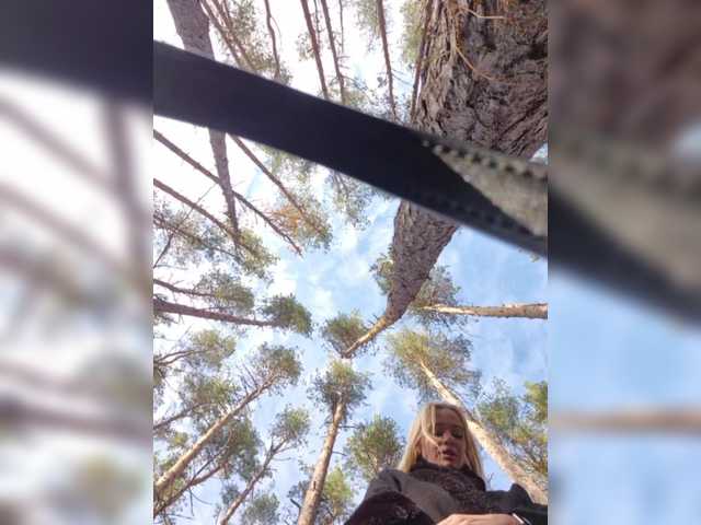 Entra en el chat con el modelo BielkA-4 BielkA-4