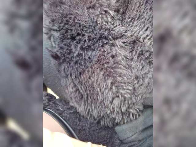 Vai a chattare su BielkA-4 BielkA-4