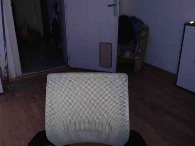 RacyRoby webcam
