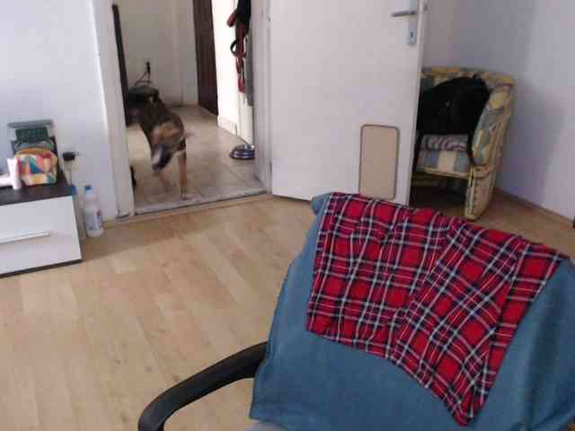 RacyRoby webcam