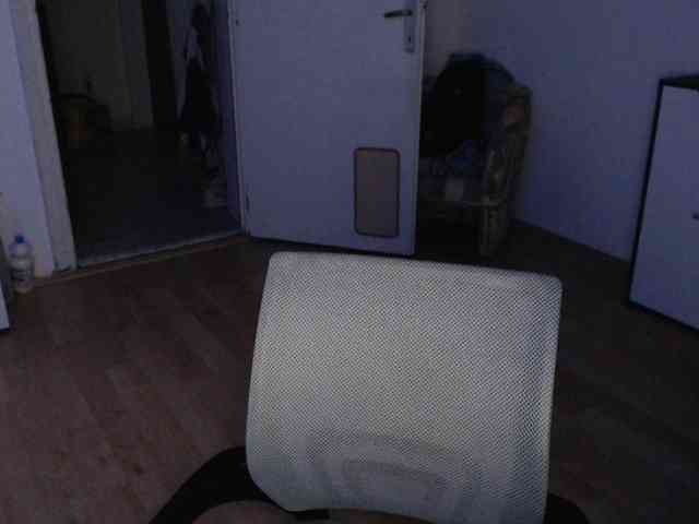 RacyRoby webcam