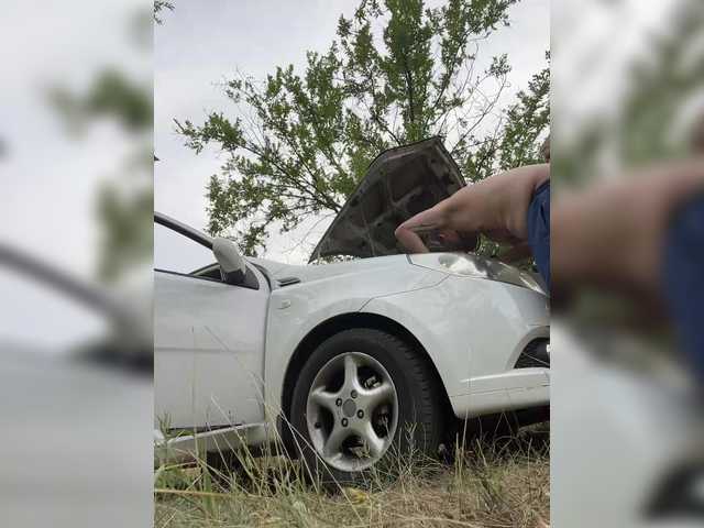 Рунетки: , секс чат бесплатно
