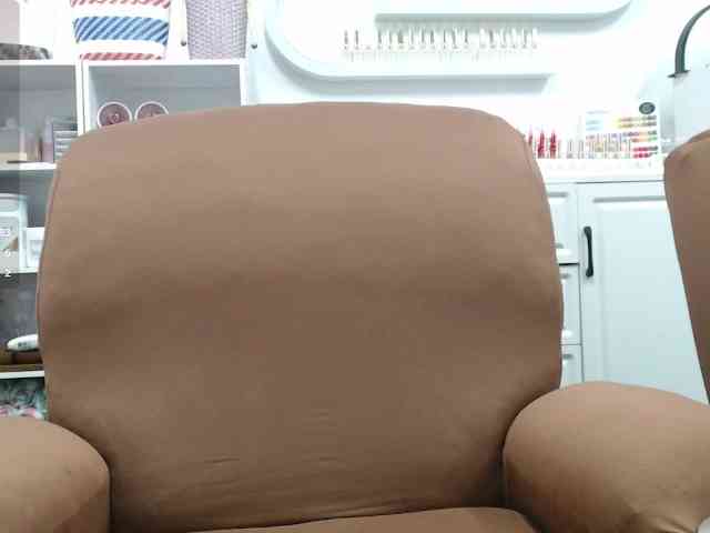 Ladiimia webcam
