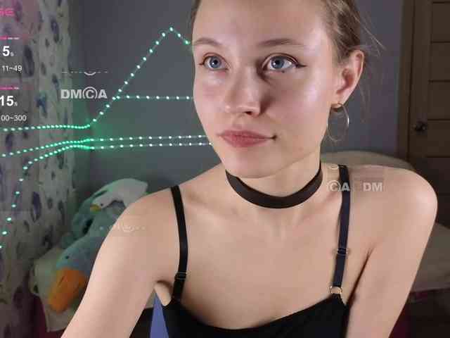 Armura webcam