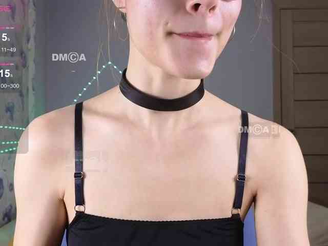 Armura webcam
