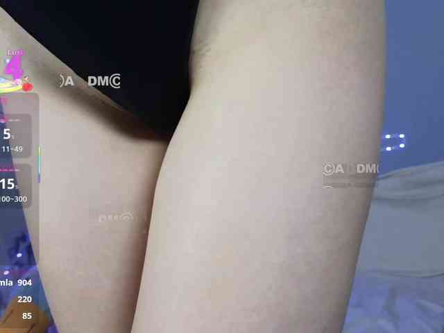 Armura webcam