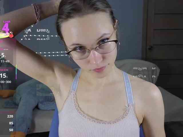 Armura webcam
