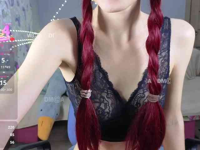 Armura webcam