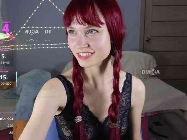 Armura webcam