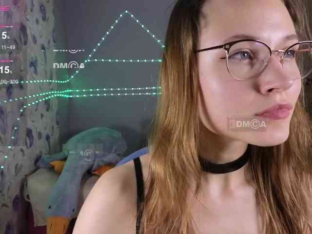 Armura webcam