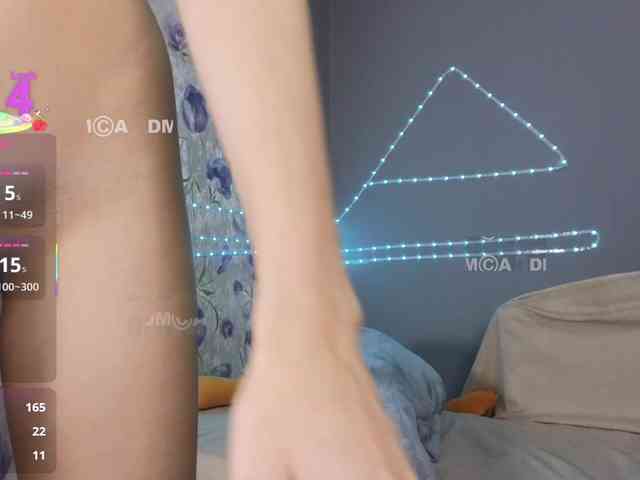 Armura webcam