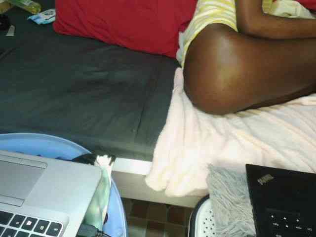 Abbylay webcam