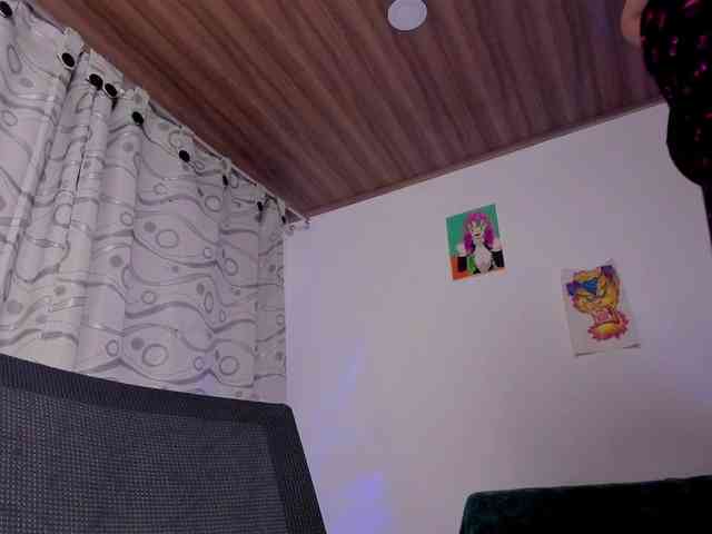 Haru-tay webcam