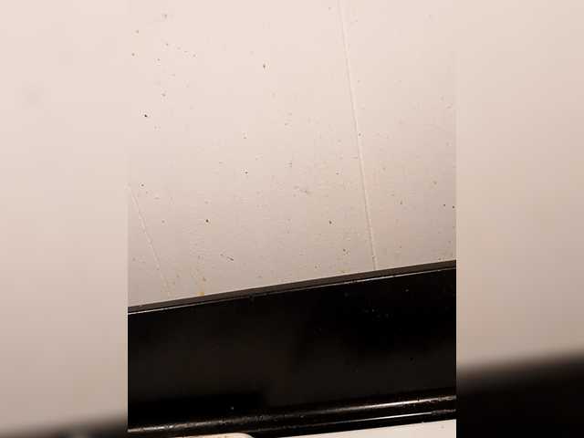 MissHunyBunz69 webcam