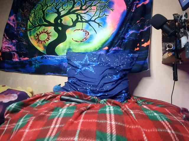 Moon-shy webcam