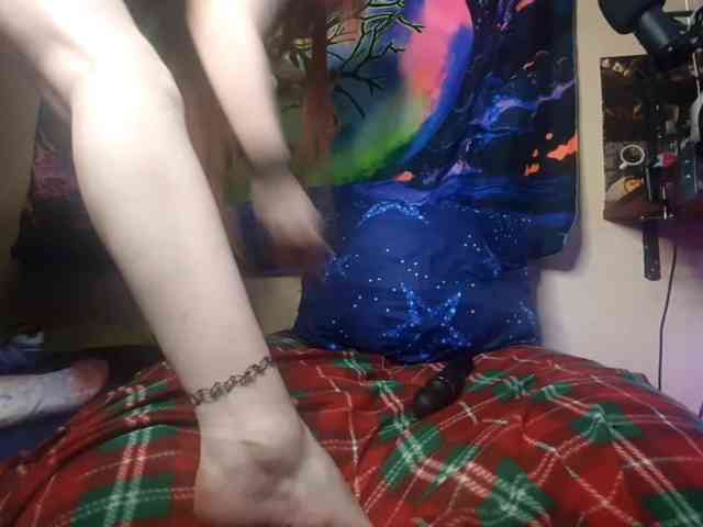 Moon-shy webcam
