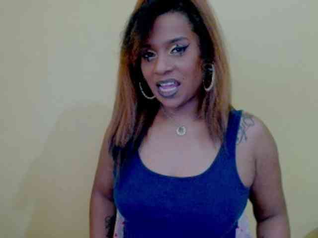 MizzCreator webcam