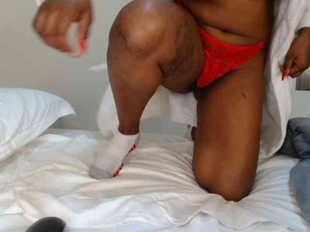 Hairysquiter webcam
