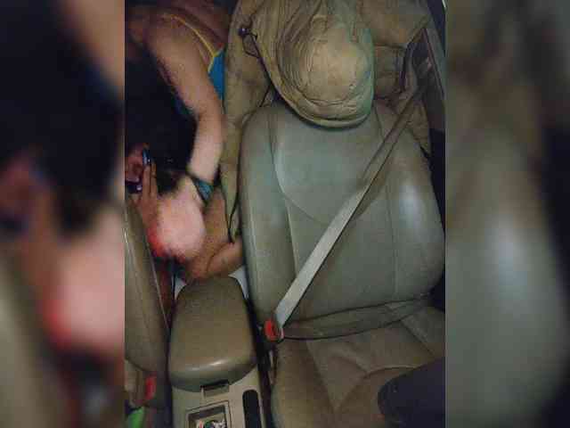 WILD-love-WILD webcam