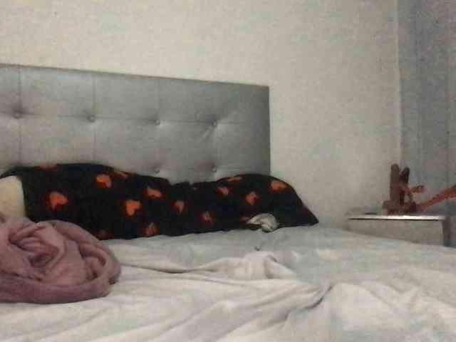 paula19801 webcam