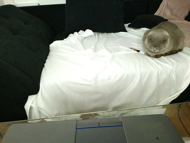 HotCrystal webcam