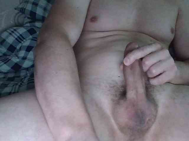 hamsterx