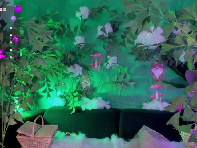 AllisonRogers webcam