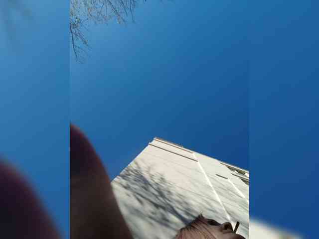 Adelaideskyy webcam