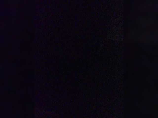 Parampara webcam