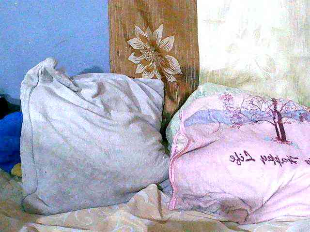 Elisahh webcam