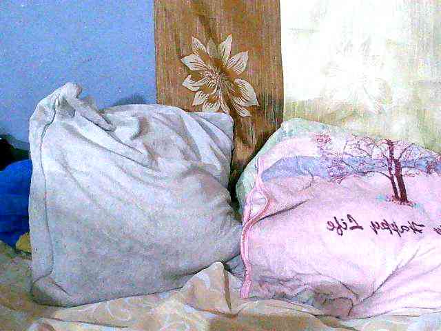 Elisahh webcam