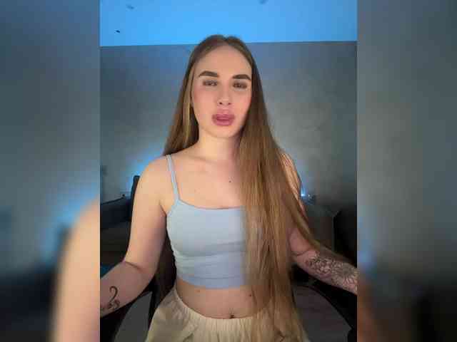 Havvyer webcam