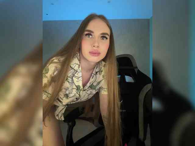 Havvyer webcam