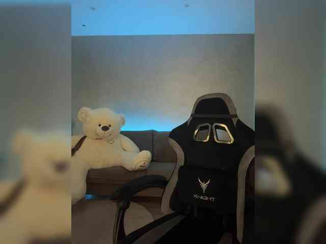 Havvyer webcam