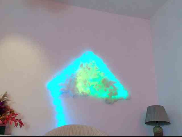 Fionna webcam