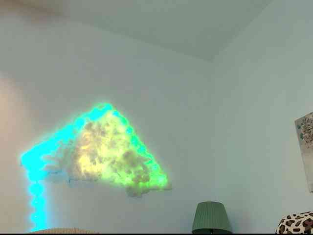 Fionna webcam