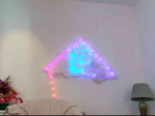 Fionna webcam