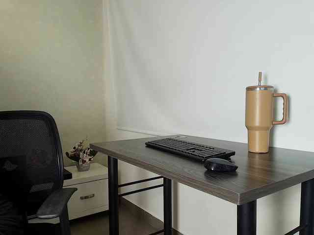 Victoria-Collins webcam