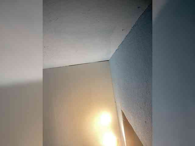 Xyligana webcam