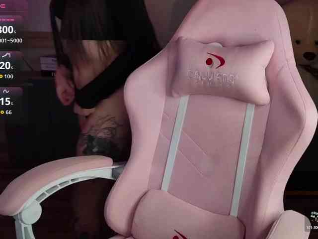 Lady-shy webcam