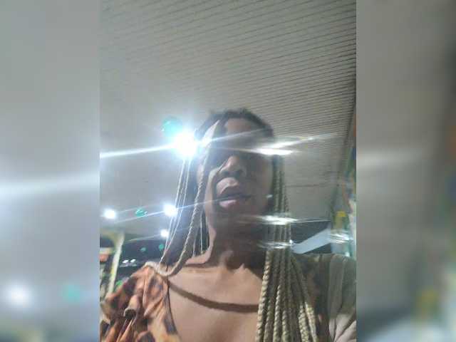 Lisagi webcam
