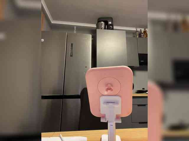 Potifays webcam