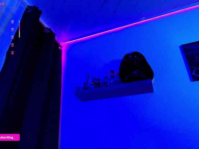 Nicorobin webcam