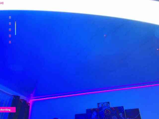 Nicorobin webcam