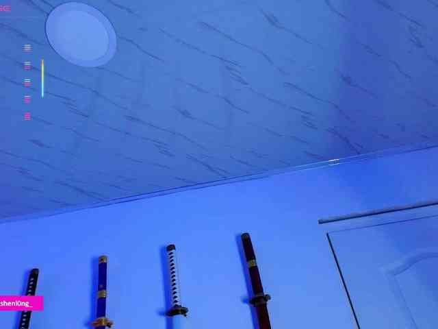 Nicorobin webcam