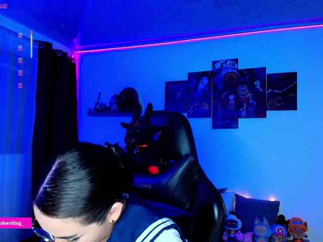 Nicorobin webcam