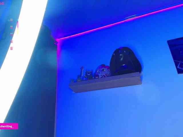 Nicorobin webcam