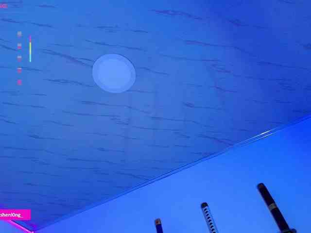 Nicorobin webcam
