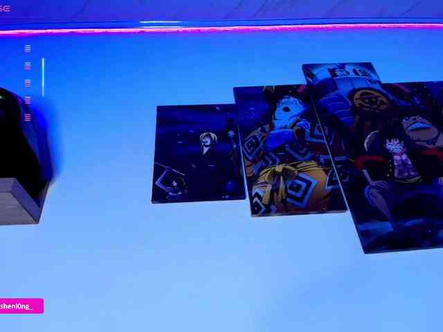 Nicorobin webcam