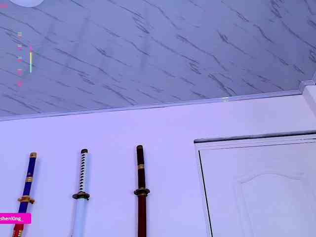 Nicorobin webcam